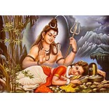 Lord Shiva and Goddess Parvati in Mt. Kailash 2